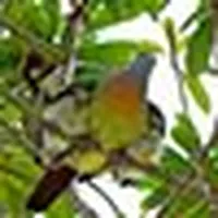 سامسونج ‏جالاكسي S22 ألترا ‏128 جيجابايت ‏أسود
