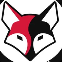 هوندا ‏أخرى ‏2008 ‏1- 250 سي سي