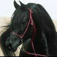 إنفينيتي ‏اخرى ‏2007