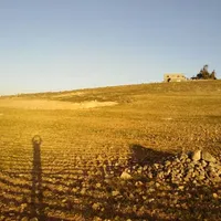 ابو تيم المشاقبه