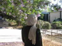 تيمه 