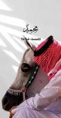 محمد