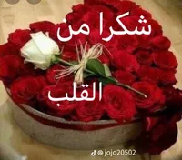 عبد الرحمن  سالم