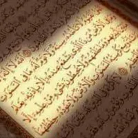 Rami Abushashia