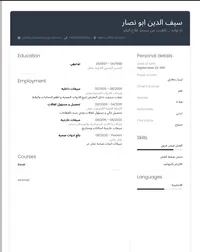 Saif Abu Nassar