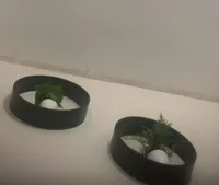 بتول  جهاد  إبراهيم هوارين