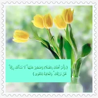 Ahmd Aldn