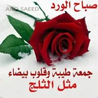 ام بشار مسعود