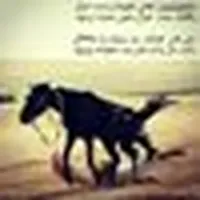 ايهم ابوعاصي
