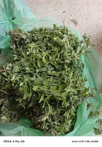 محمود