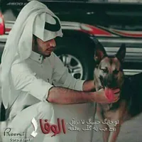 بي ام دبليو ‏الفئة 3 ‏318 ‏2001