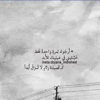 Shereen Abo Shwemeh