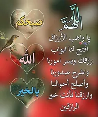 ابو احمد