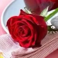 محمود العبيدي