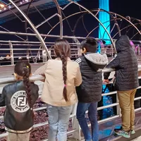 سامسونج ‏جالاكسي S24 الترا ‏1 تيرابايت ‏رمادي
