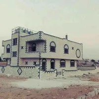 تامر