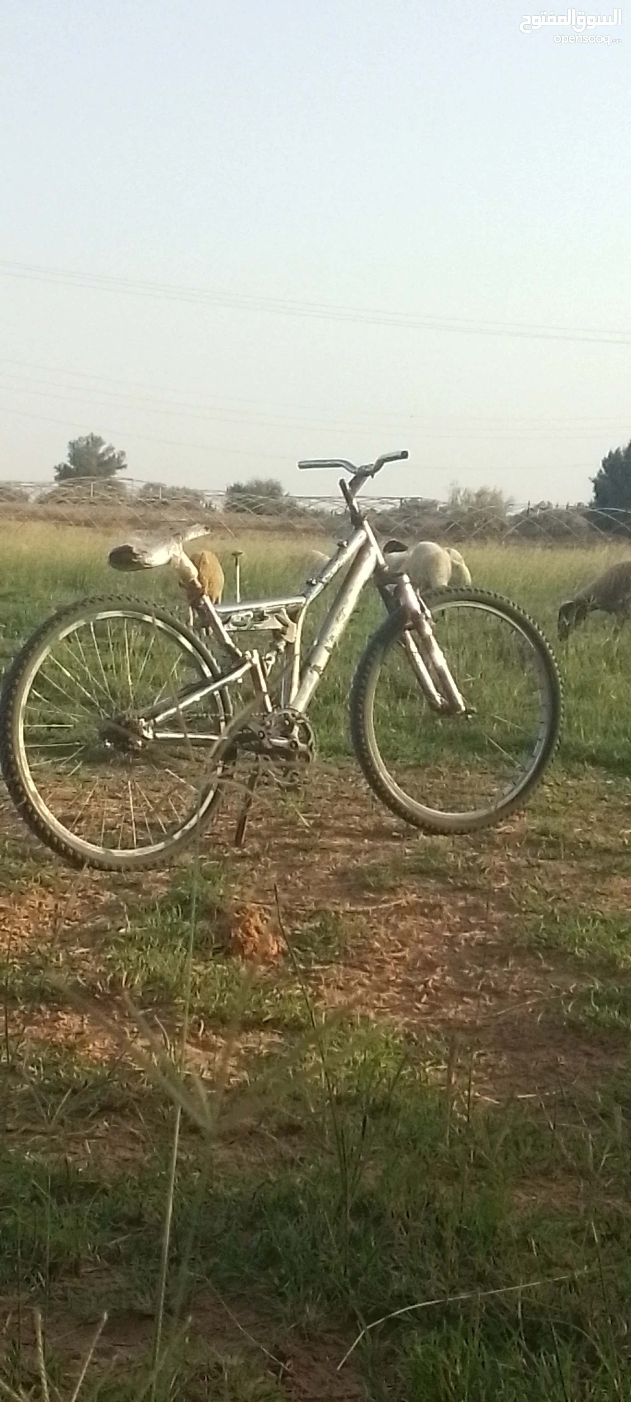 Mountain Bike Olx Bike Selling Price Calculator Mtb Best Way To