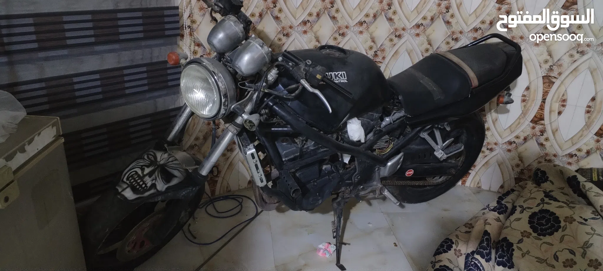 باندا للبيع في البصرة افضل الاسعار السوق المفتوح