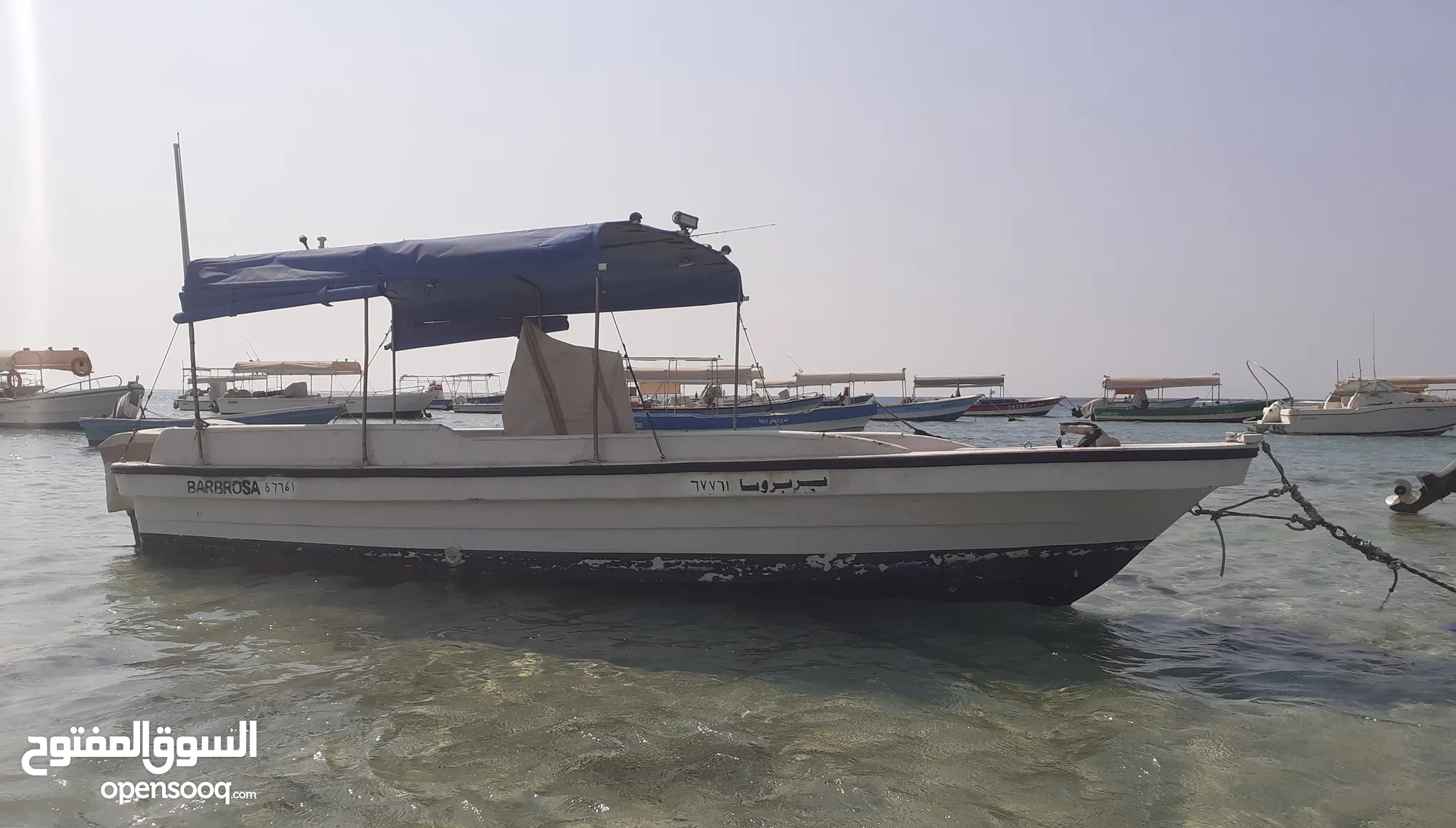 قوارب للبيع في جدة - قوارب صيد, طراد : أفضل الأسعار