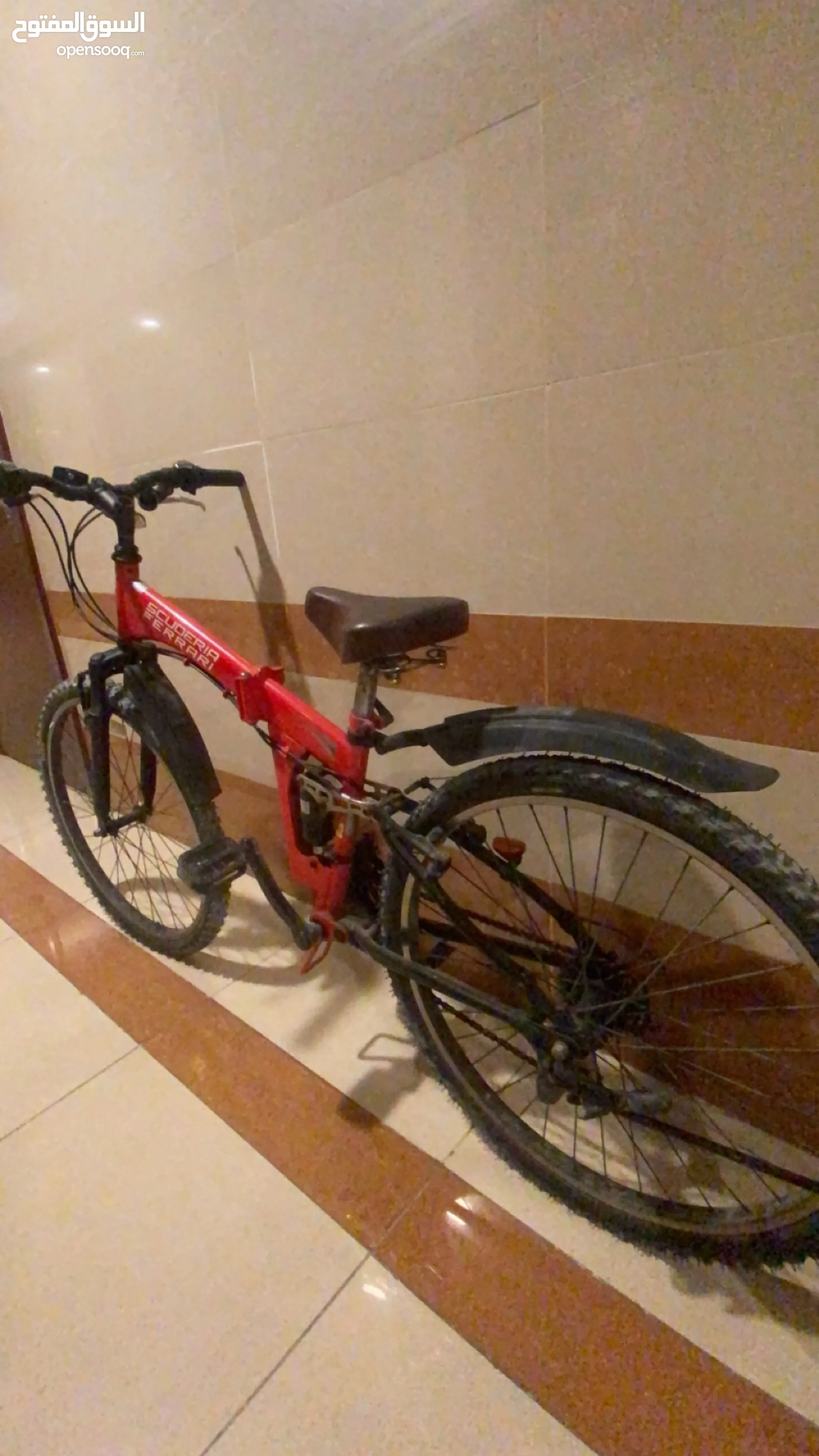 Bicycle for adults olx sale