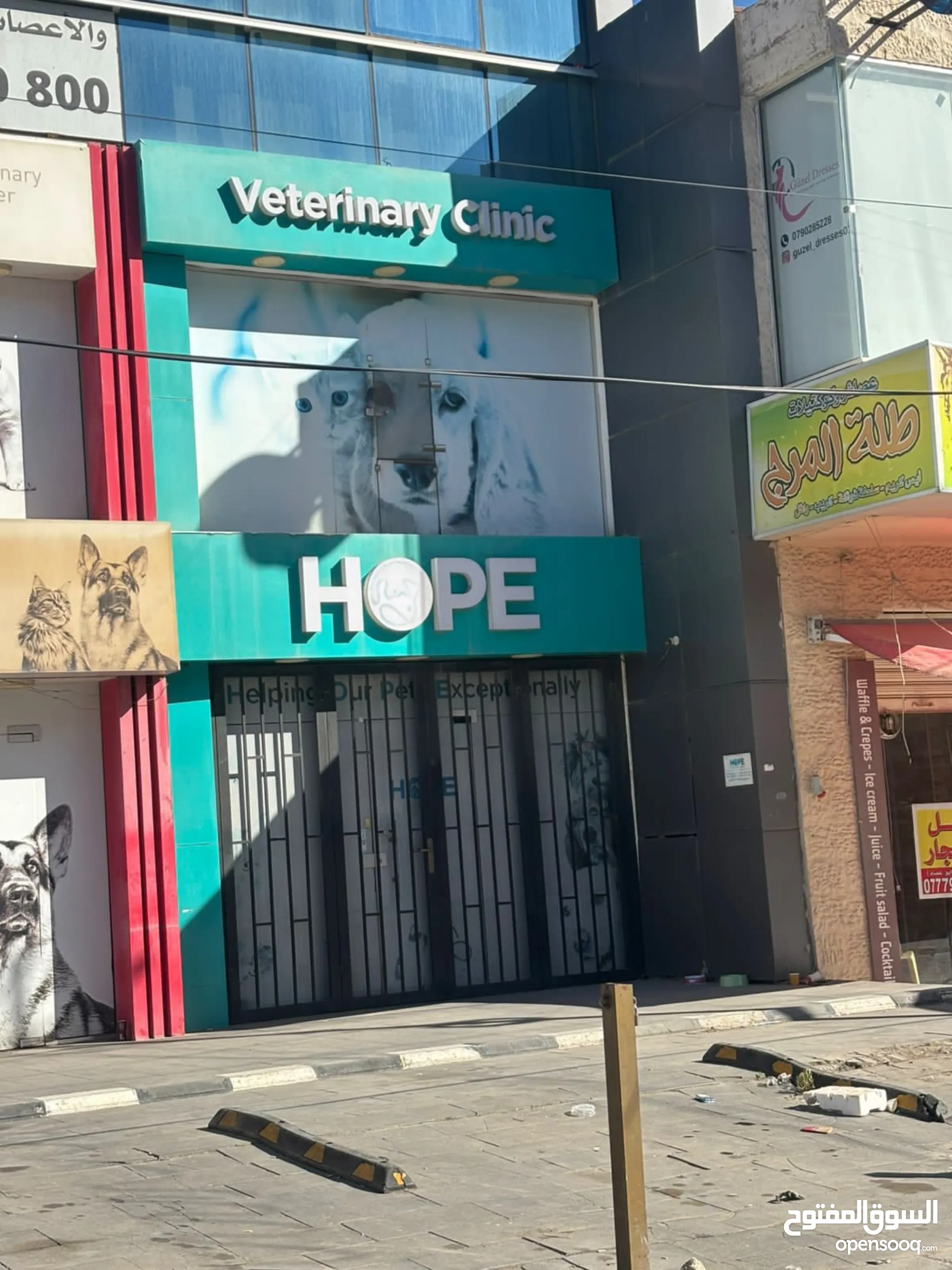 Dr Sristi Pet Well Clinic Hot Dr Pet Clinic Discount