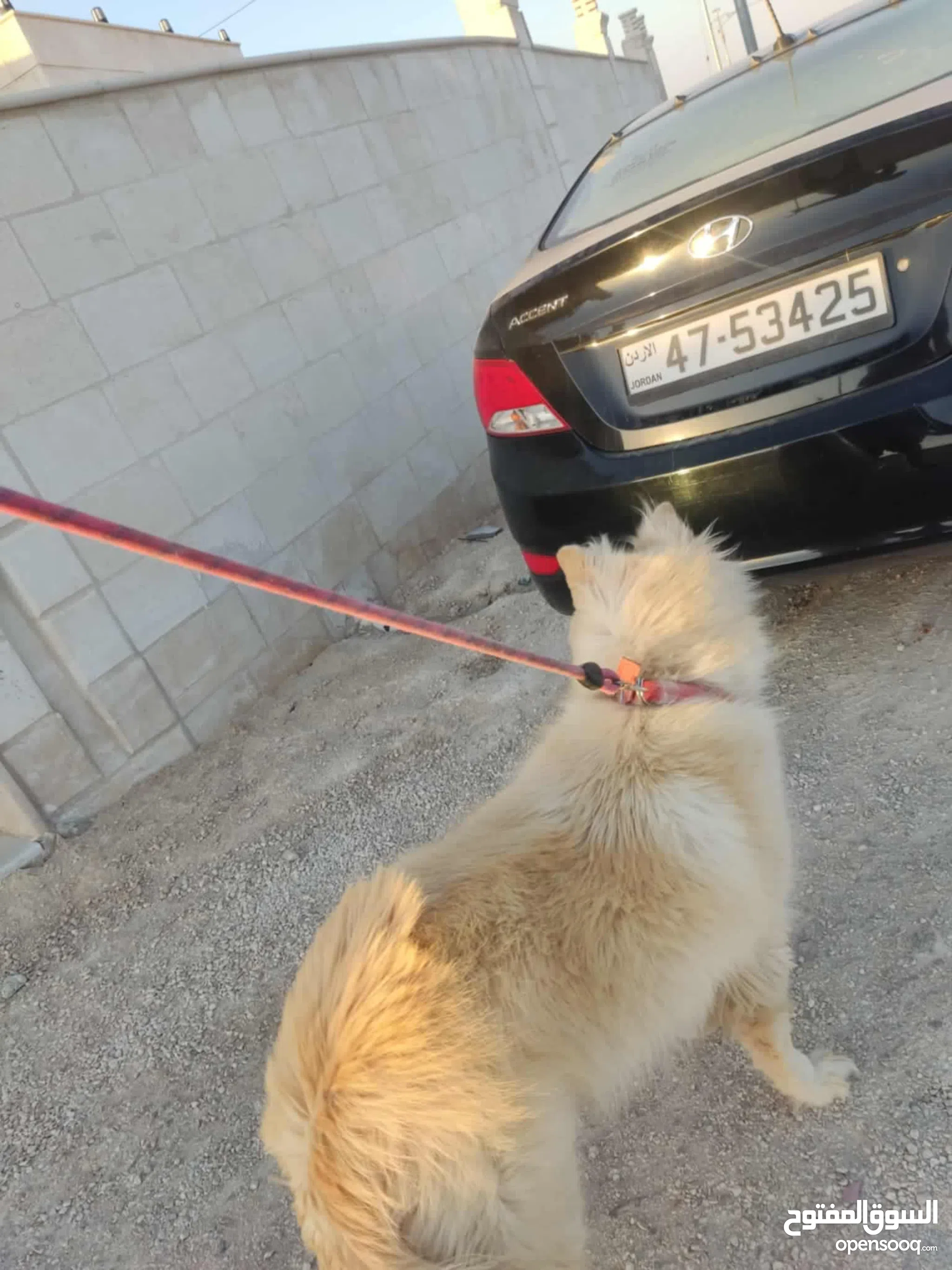 Mademoiselle R Robe Mariee La Redoute Robe Blanche La Redoute Outlet