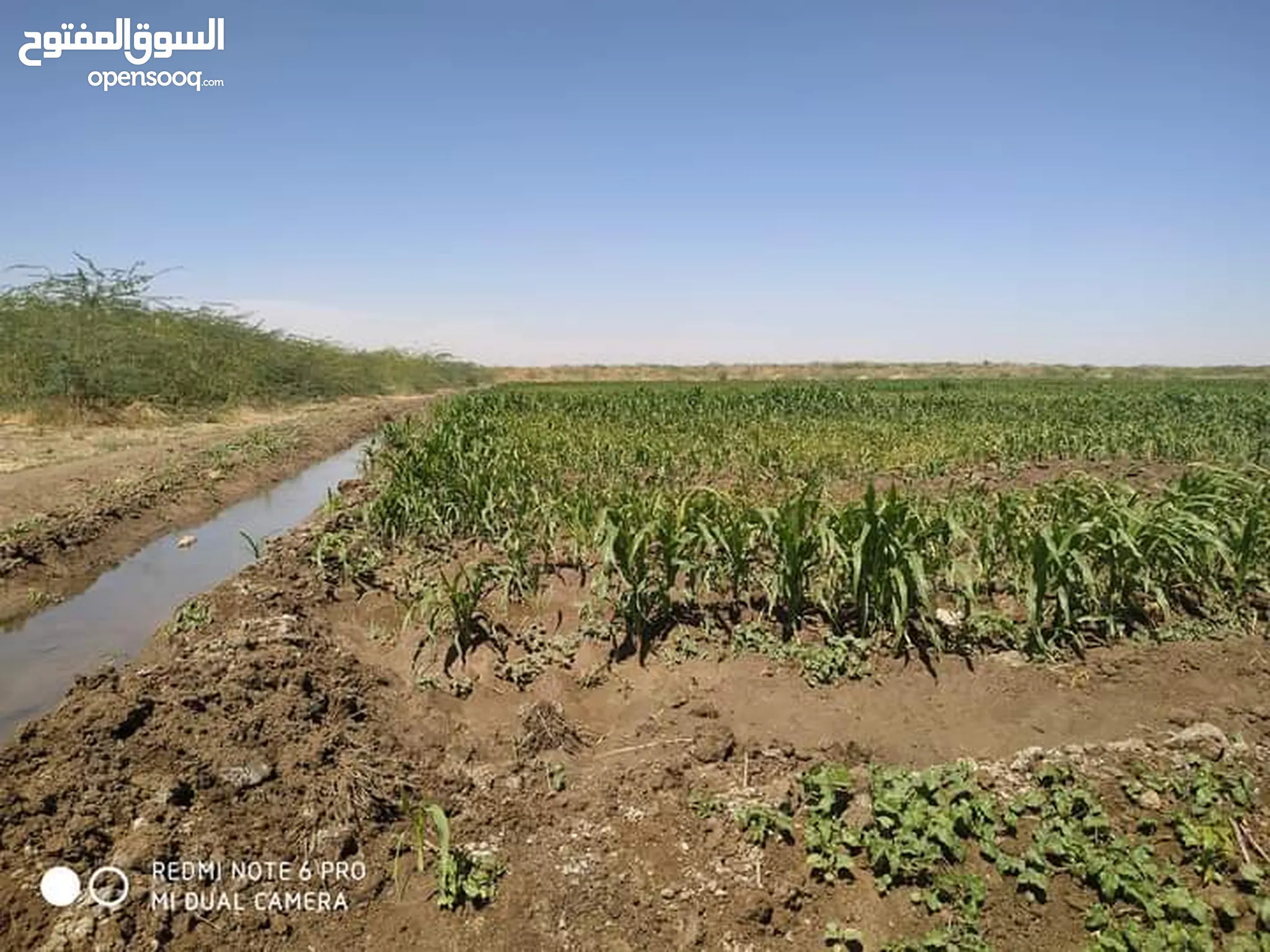 عقارات للبيع : أراضي للبيع : زراعية : (صفحة 2) : السودان