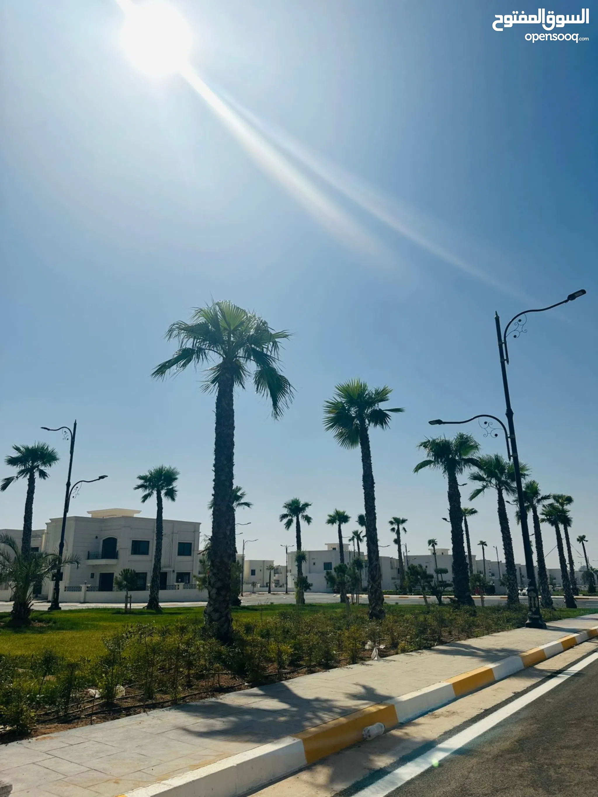 Erbil Dog Walking Area Near Me Houses For Sale In Erbil Villa