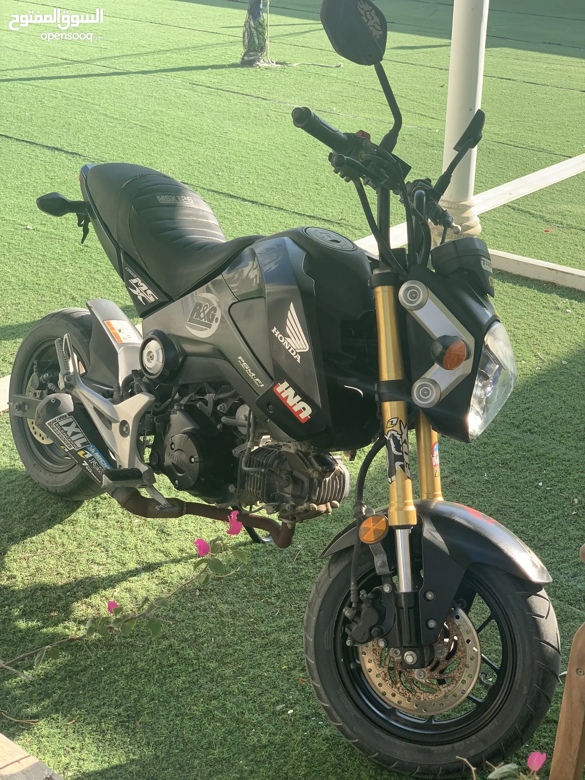 Honda Grom for Sale in UAE Used Motorbikes Cheapest Prices OpenSooq