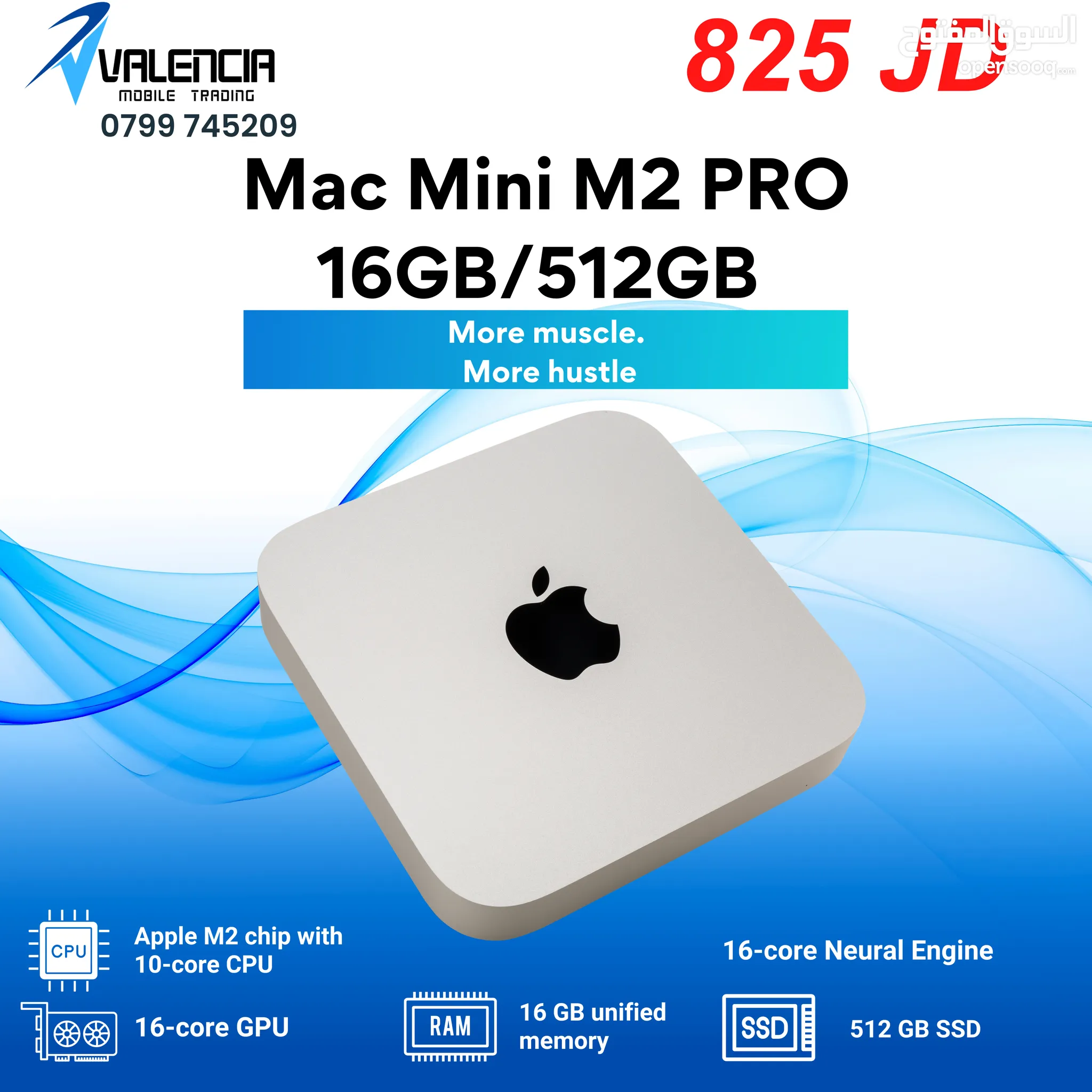 極美品】Apple Mac mini M2Pro 16GB 512GB SSD