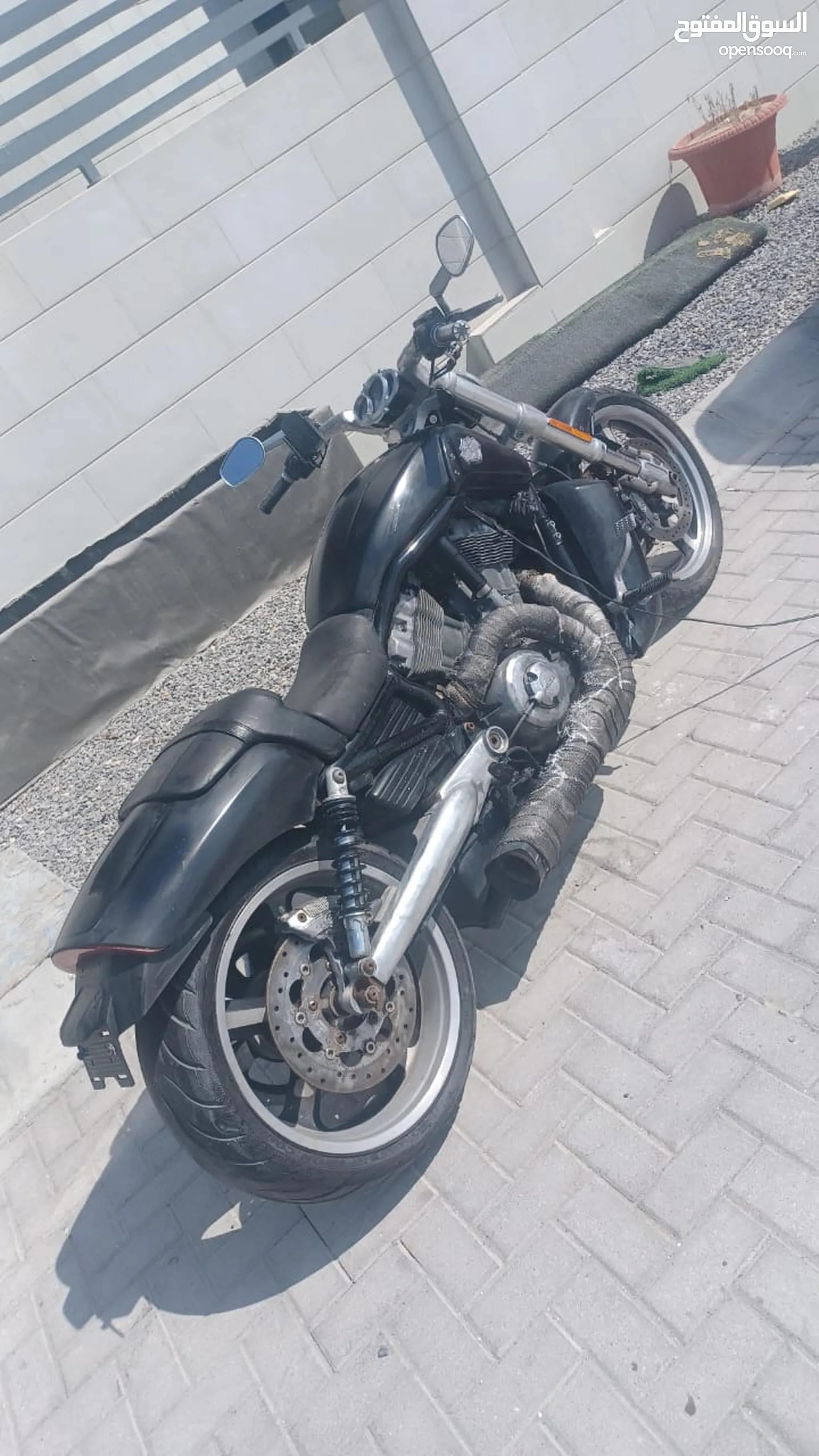 Harley davidson used bikes sale