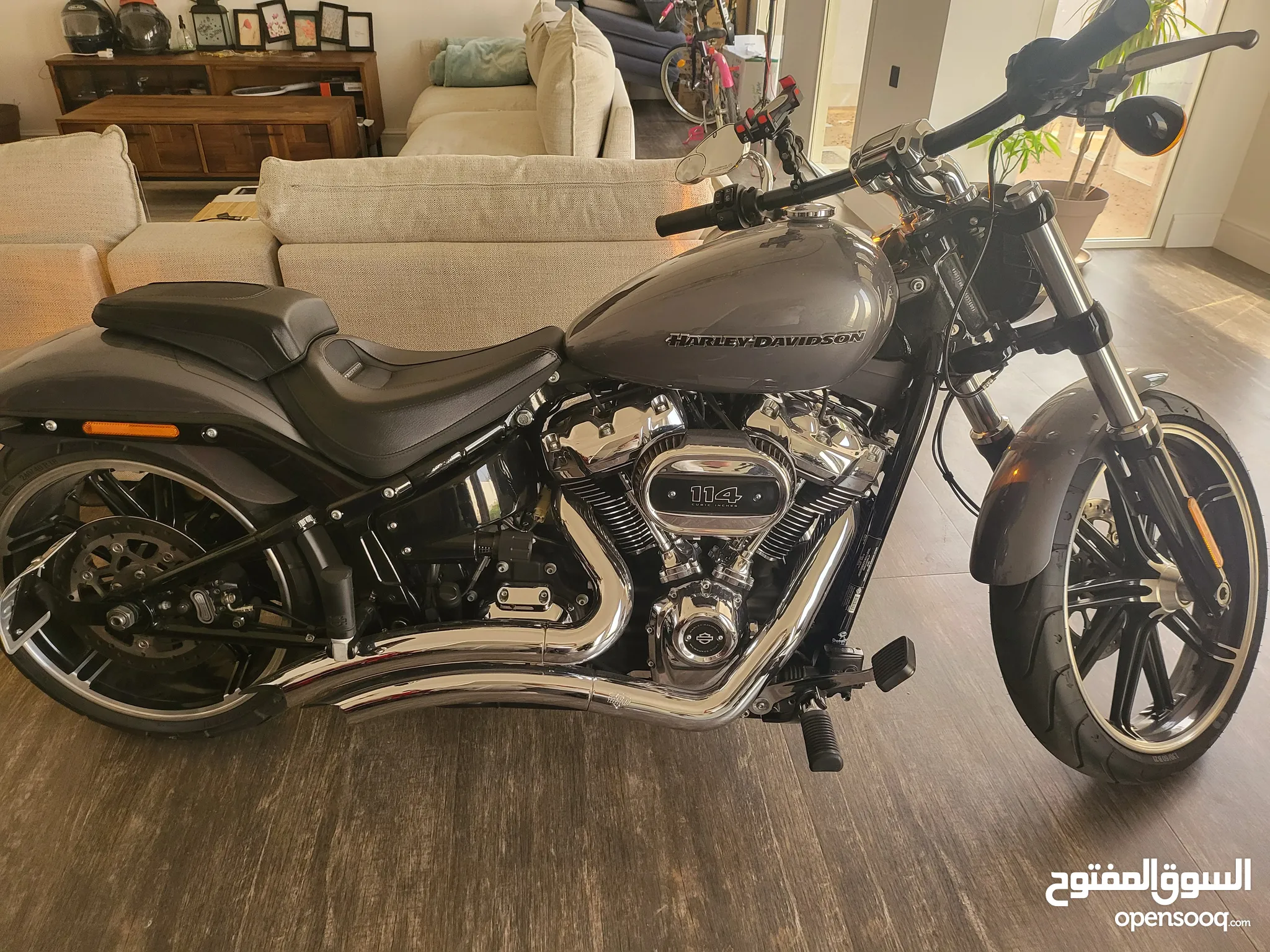 Used harley davidson breakout for sale sale