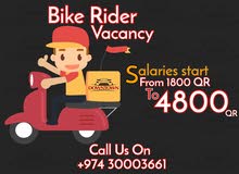 Bike Rider Vacancy Job Bike Rider Vacancy Job