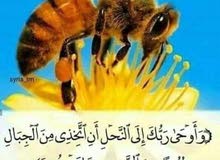 عسل طبيعي عسل طبيعي