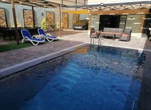 2 Bedrooms Chalet for Rent in Jordan Valley Dead Sea
