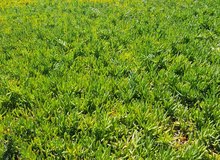محاسب سوداني فقط محاسب سوداني فقط