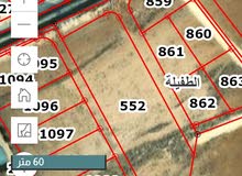 Mixed Use Land for Sale in Tafila Al-Ayes