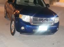 Ford Escape Limited in Mafraq