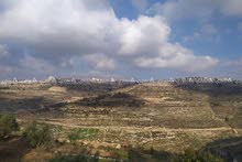 Mixed Use Land for Sale in Hebron Halhul