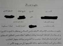 أشخاص ذوي الاحتياجات الخاصة يرغبون مساعدتهم أشخاص ذوي الاحتياجات الخاصة يرغبون مساعدتهم