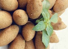 كبة شامية كبة شامية