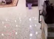 شقه للايجار بحي العقاد سوبر لوكس شقه للايجار بحي العقاد سوبر لوكس
