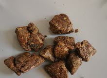 البروبوليس le propolis البروبوليس le propolis