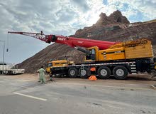 220-160-130-100-80-50-30 ton PDO/OXY approved cranes available on reasonable rent in muscat