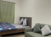 510m2 Studio Apartments for Rent in Ajman Al- Jurf