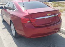 شفرليت امبالا موديل 2014 اورق جمرك فل مواصفات للتواصل 0521199336 شفرليت امبالا موديل 2014 اورق جمرك فل مواصفات للتواصل 0521199336