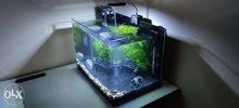 Fish tank Fish tank