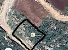 Residential Land for Sale in Bethlehem Beit Ta'mar