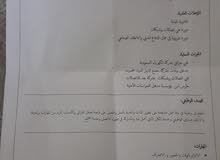 تويوتا تويوتا