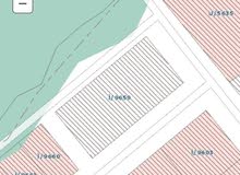 ارض للبيع حي ظهرة لبن المساحه 5000م2 ارض للبيع حي ظهرة لبن المساحه 5000م2